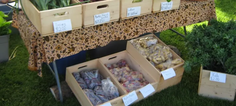 Produce crates at the farmers market, 2012