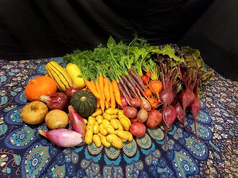 The Cariboo enRoot harvest, 2020