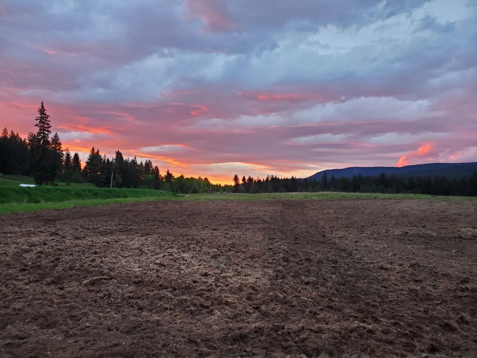 Looking north across the field under colourful evening clouds