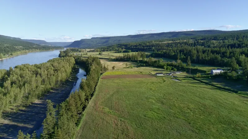 The river and the fields
