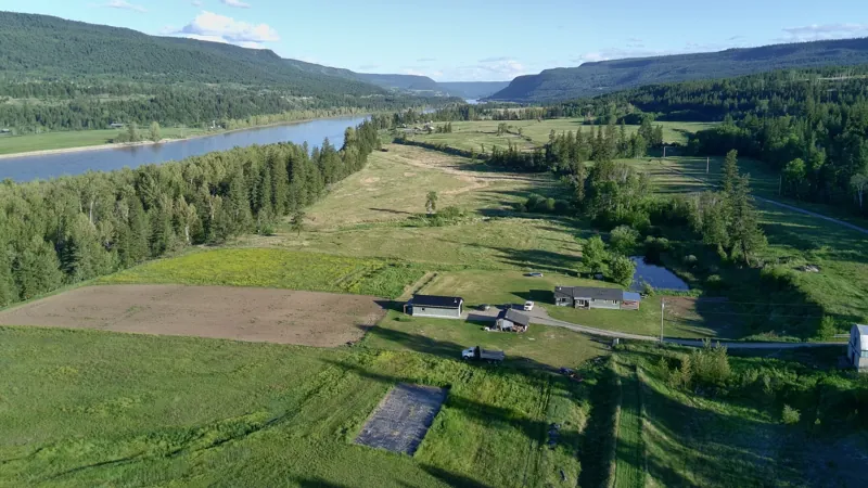 The gardens and the river