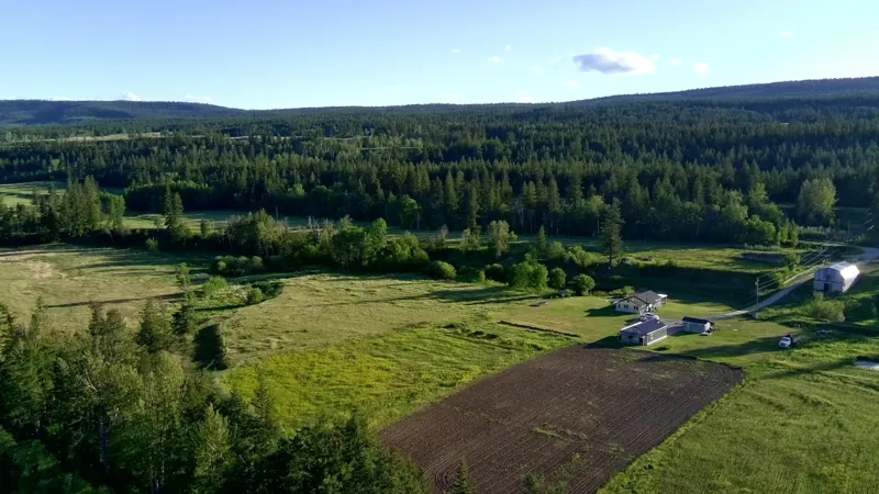 Open fields and the farmstead