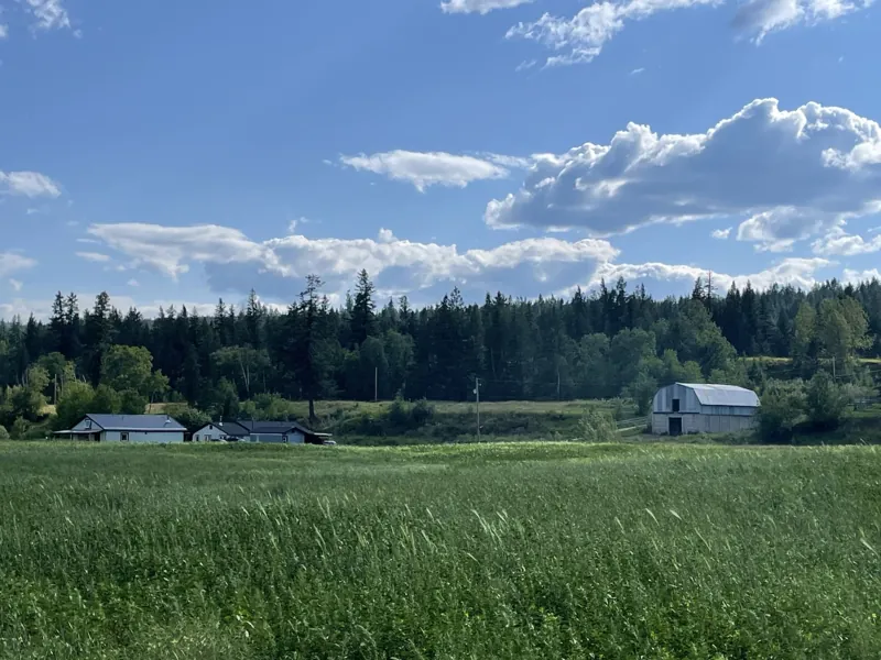 The open field, with the farmhouse and barn beyond