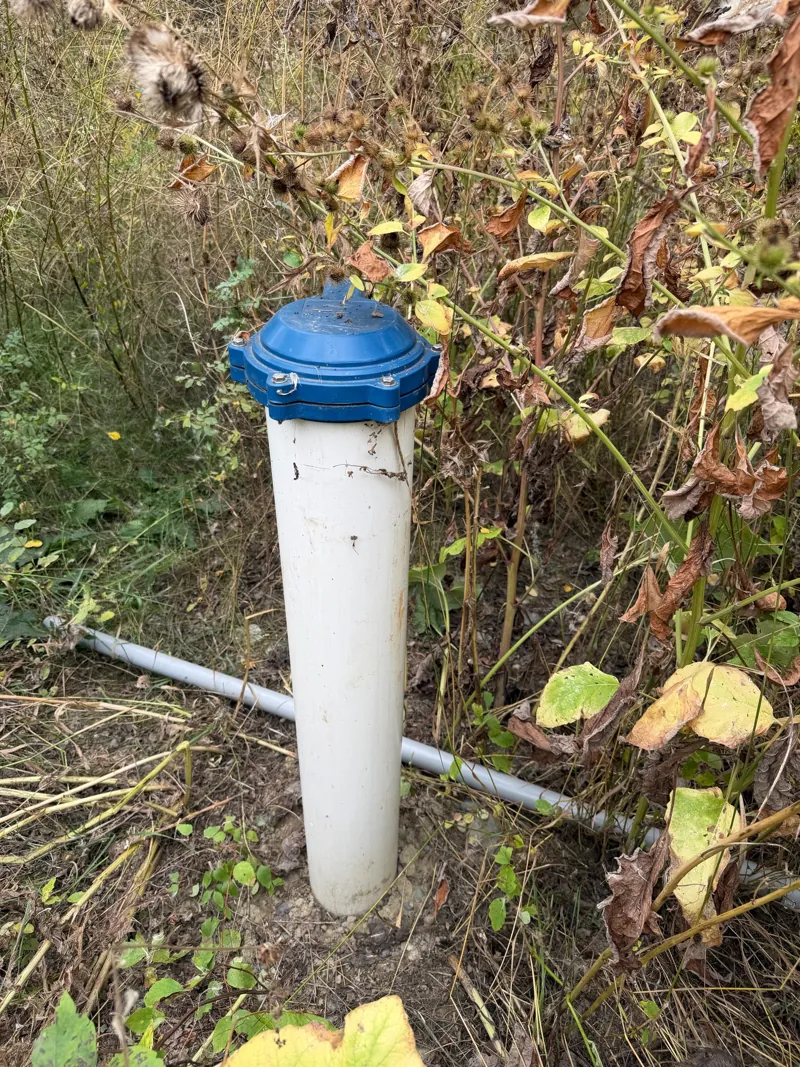 The pad's well head