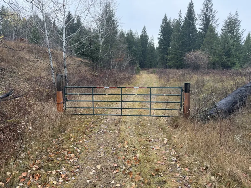 The gate