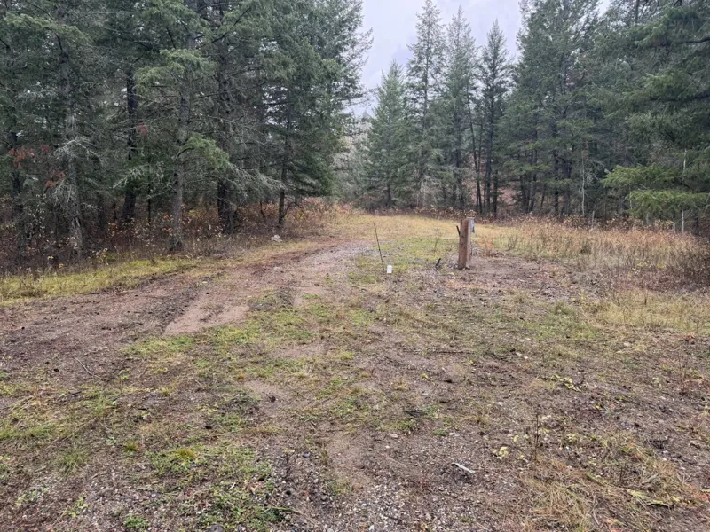 The pad site