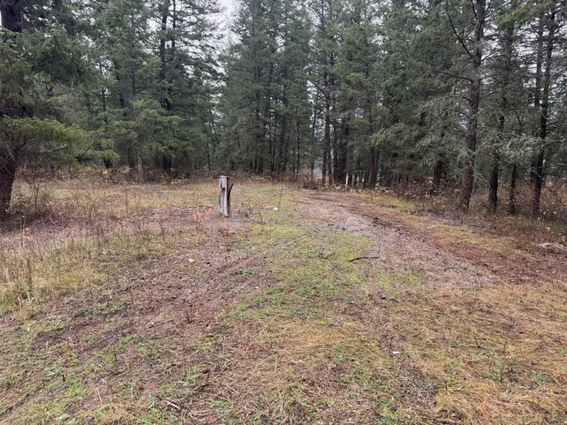 The pad site, another view