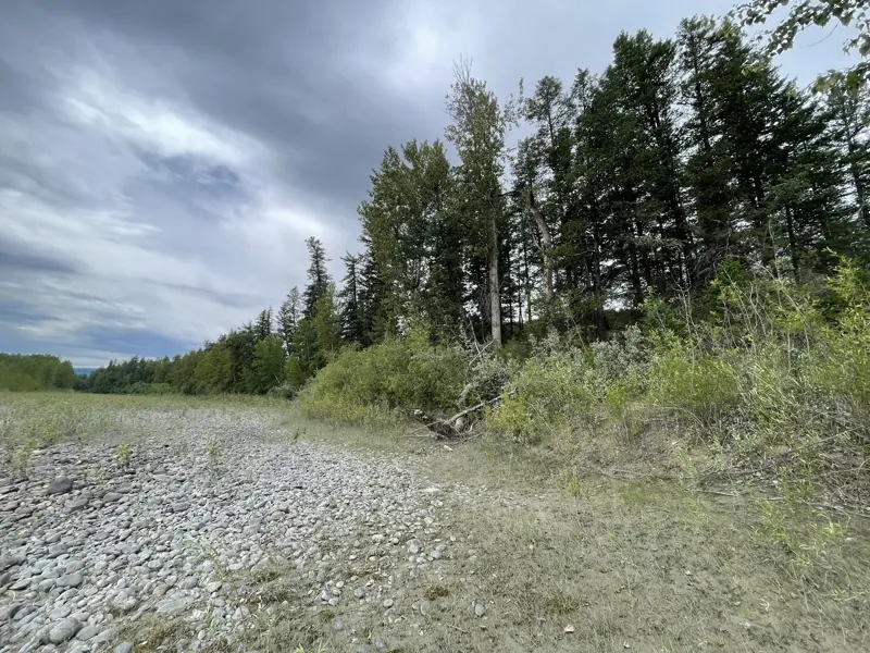 The Fraser's gravel shore