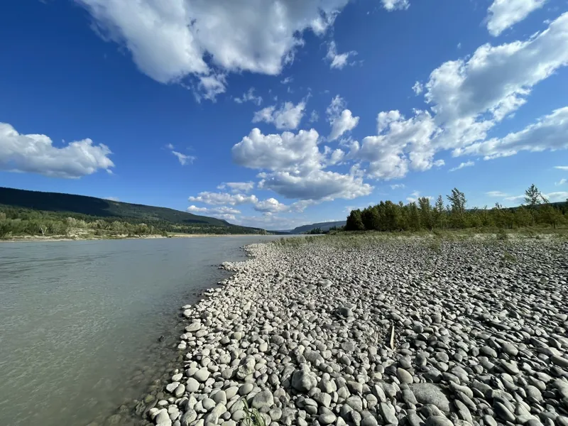 The river shore