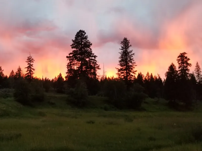 An orange sunset over the field