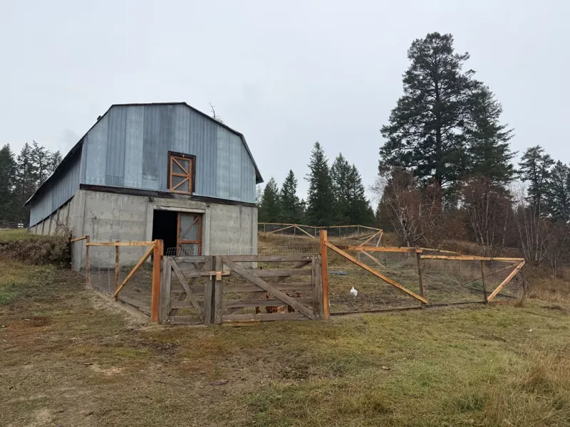 Grey metal-clad barn with gambrel roof behind a wooden rail corral, tall pines behind