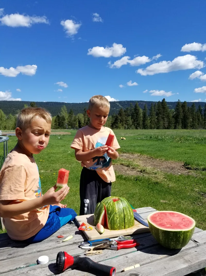May 2018: watermelon on the picnic table
